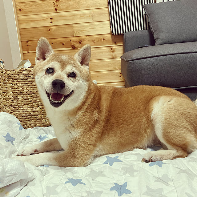 arasouさんの実例写真