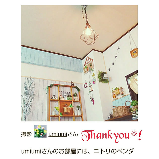 umiumiさんの実例写真