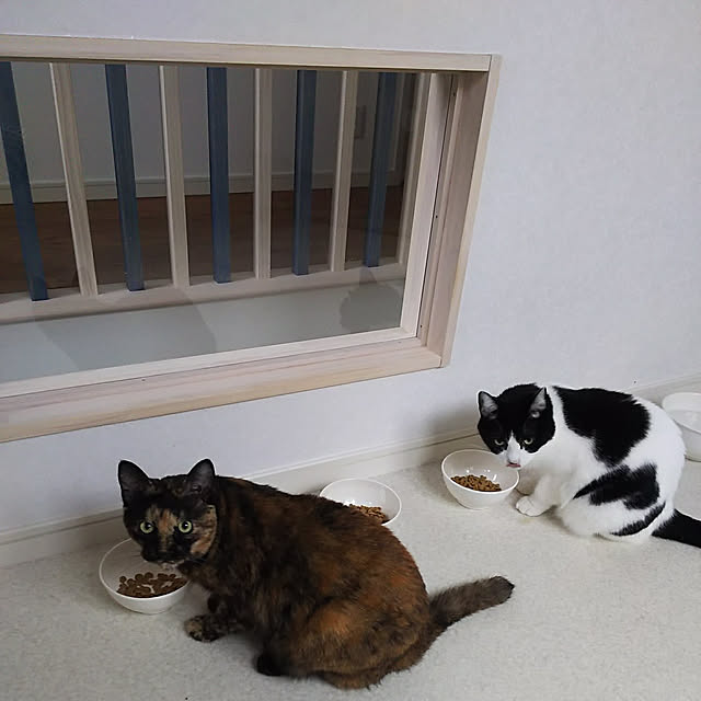 ohagiさんの実例写真