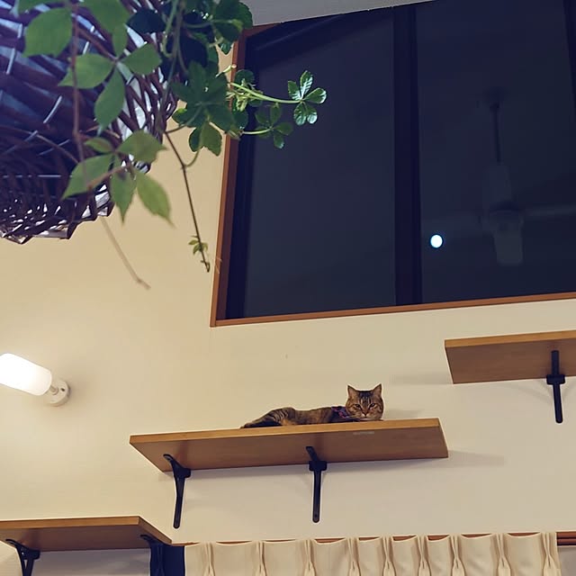 mochicoさんの実例写真