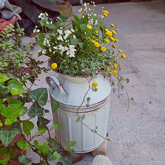 mocomocoさんの実例写真