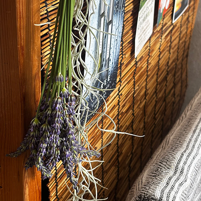 macoさんの実例写真