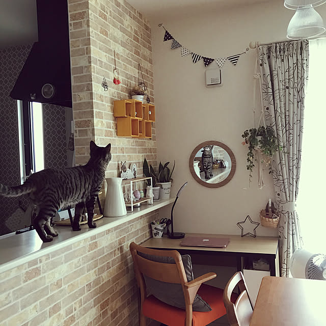 umeboshi08さんの実例写真