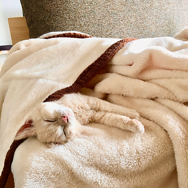 naokoさんの実例写真