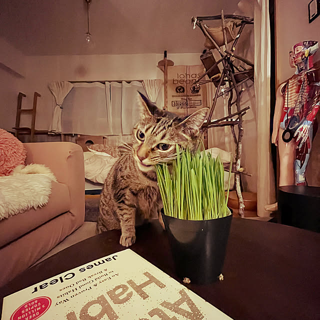 Mさんの部屋