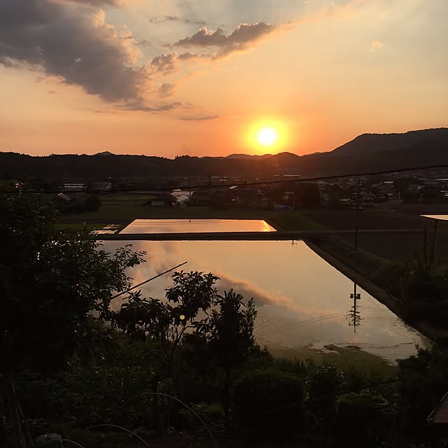実例写真
