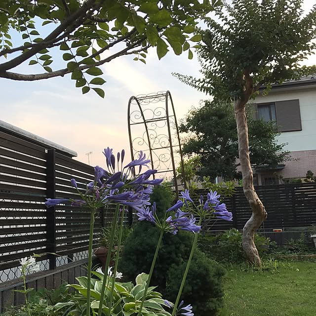 waraihiroさんの実例写真