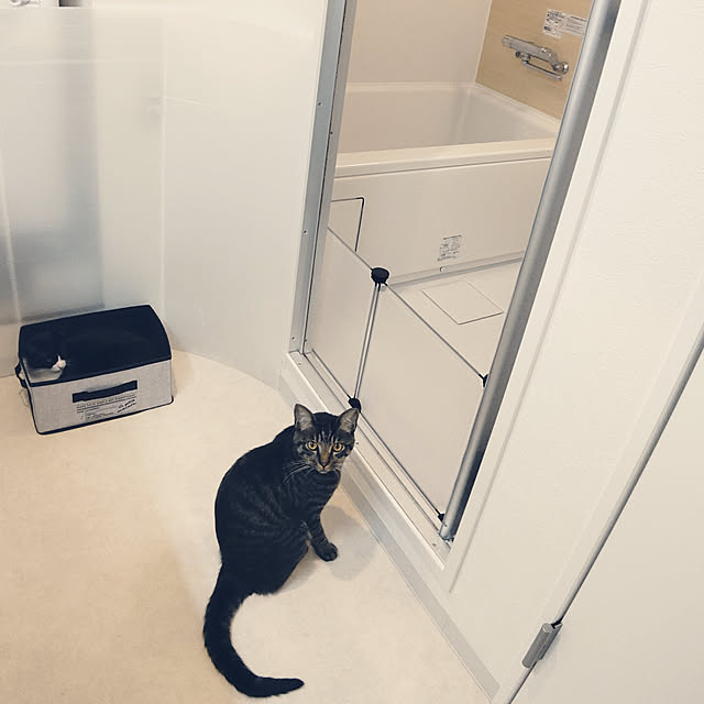 hihaさんの実例写真