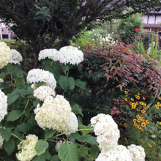 houenさんの部屋