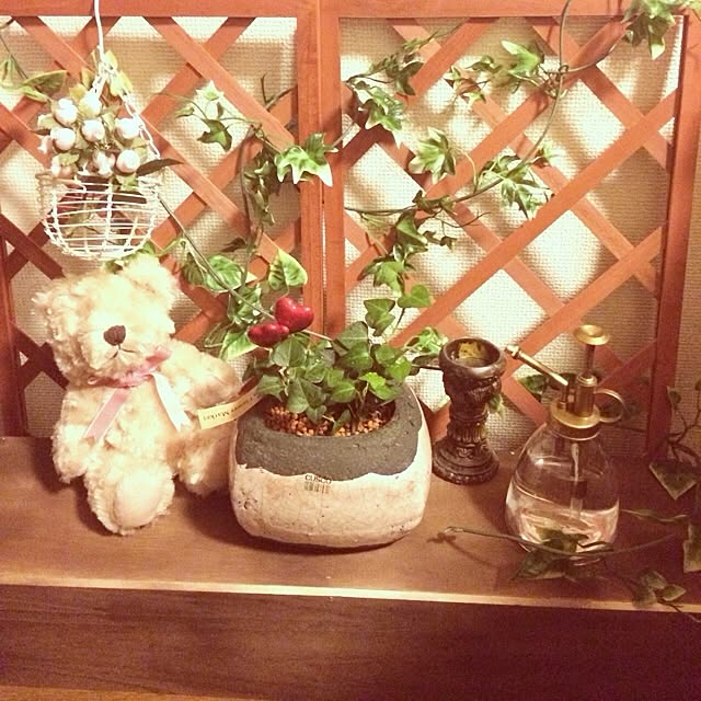 aya0128lotusさんの実例写真