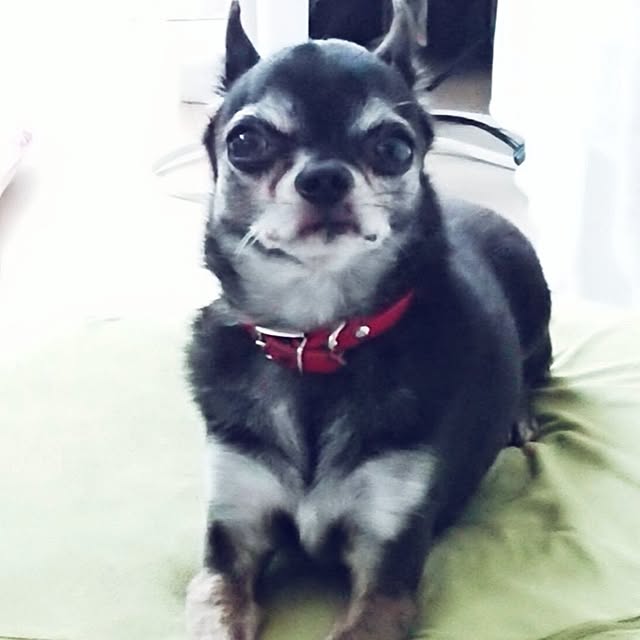 Bienvenueさんの部屋