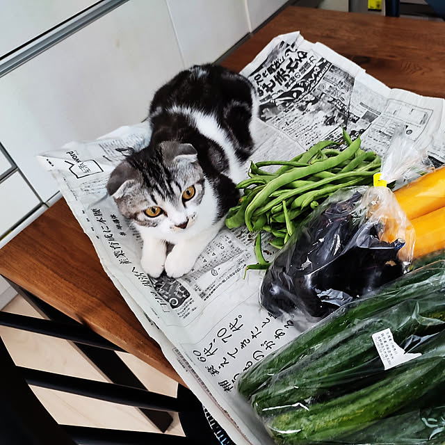 Karinさんの実例写真
