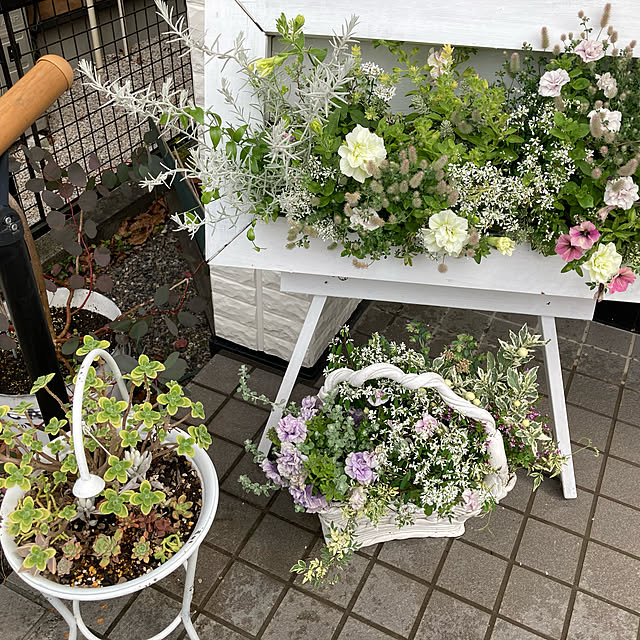 mayuoさんの実例写真