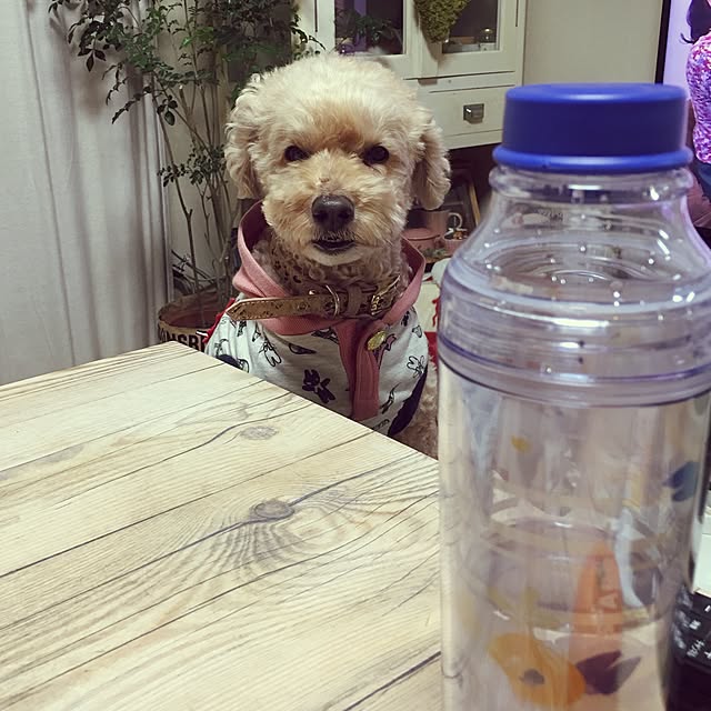 akebiさんの実例写真