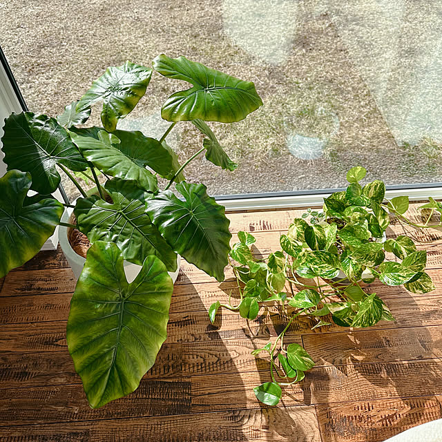 hanahana1444さんの部屋