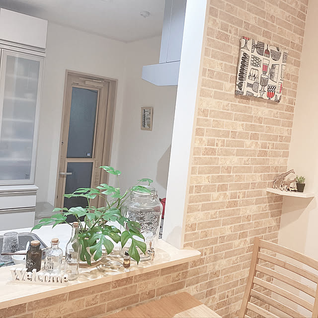 100均/観葉植物/キッチンのインテリア実例 - 2021-01-29 23:52:02