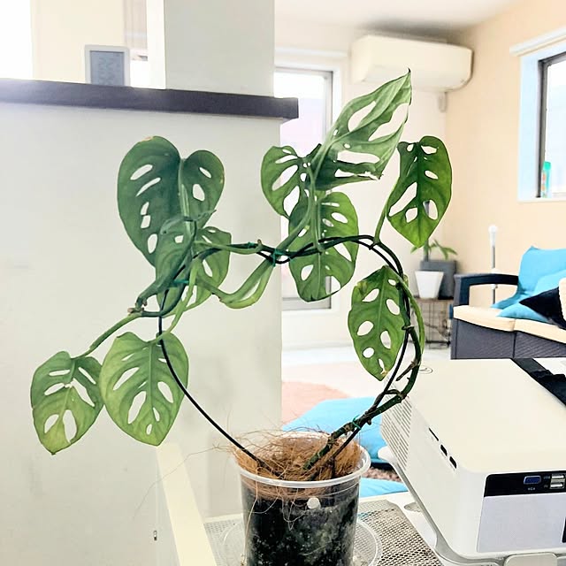 MOMOMAMAさんの部屋