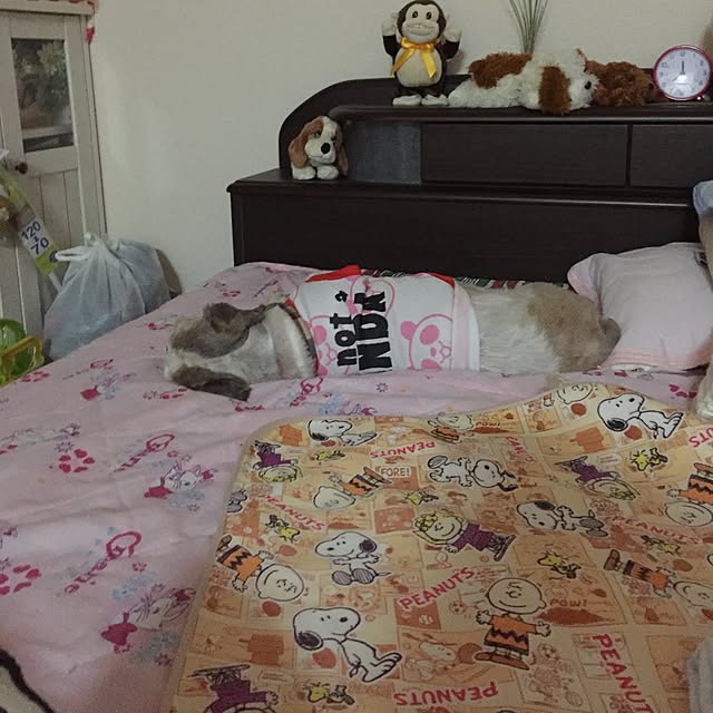 emiさんの実例写真