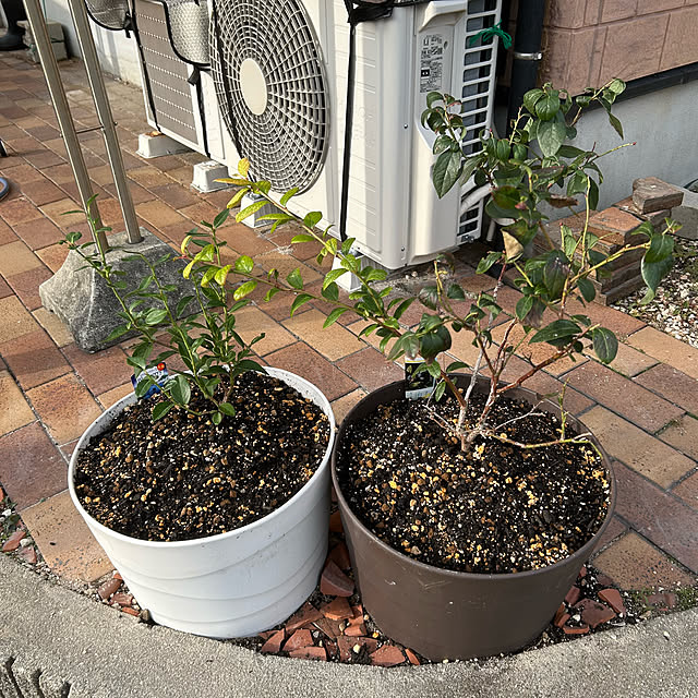 ritsukoさんの部屋