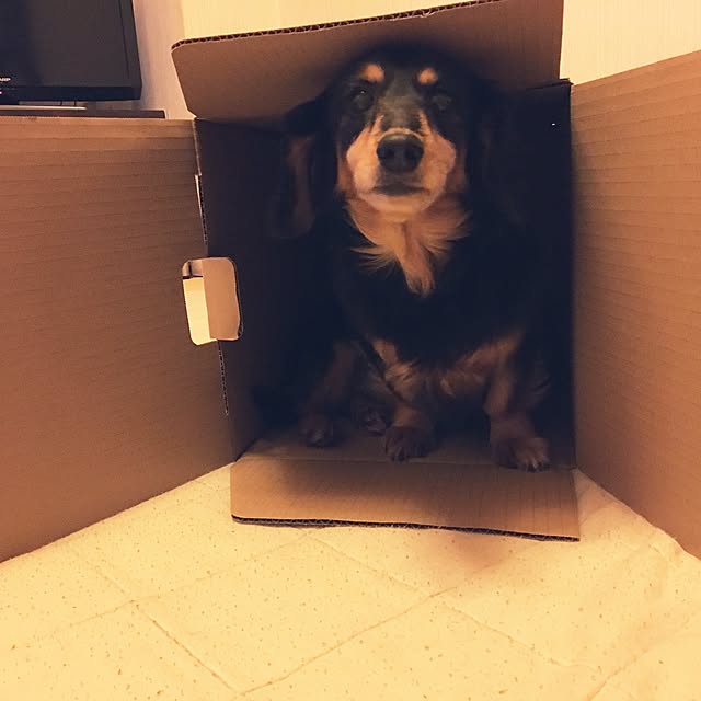 ohanaさんの実例写真