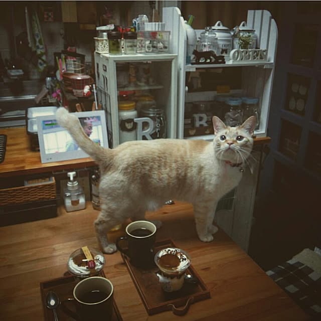 mntcさんの実例写真