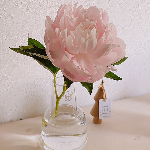 milkcocoaさんの部屋