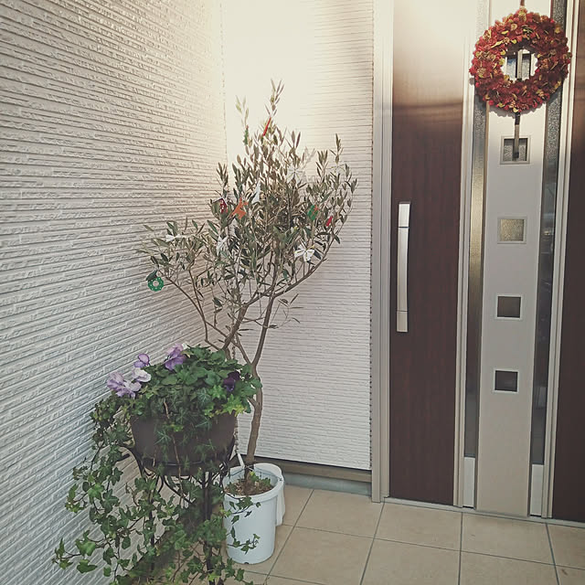 aquaさんの実例写真