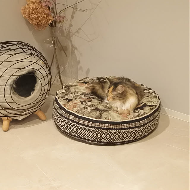 decorameowさんの実例写真