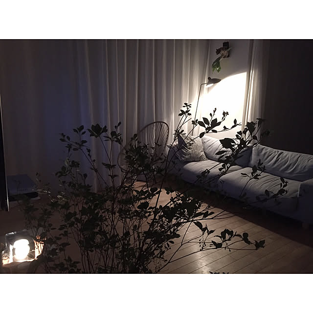 a.n.さんの実例写真
