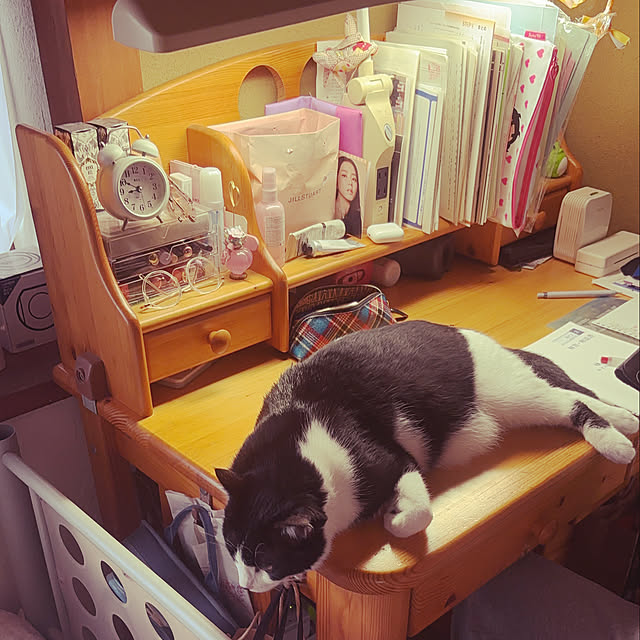 nanohanaさんの実例写真