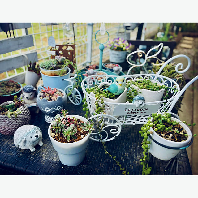 CoCo0617さんの実例写真