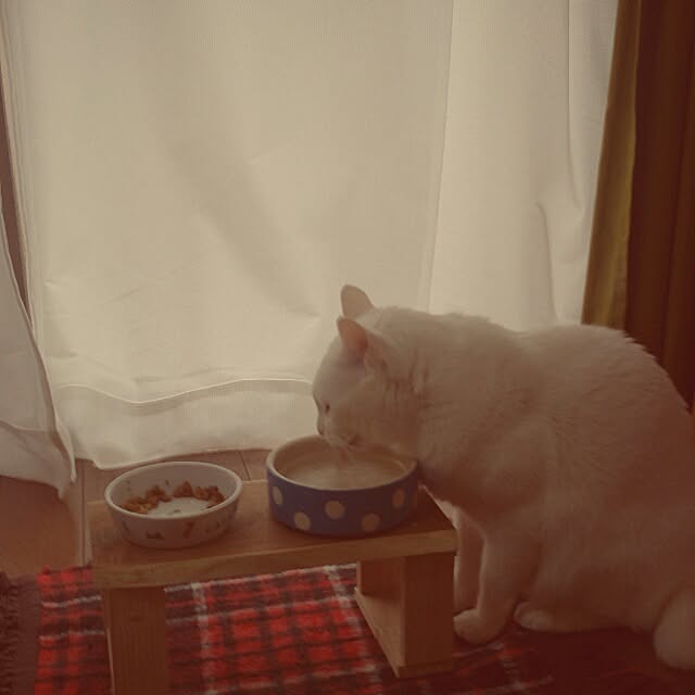 amifuuさんの実例写真