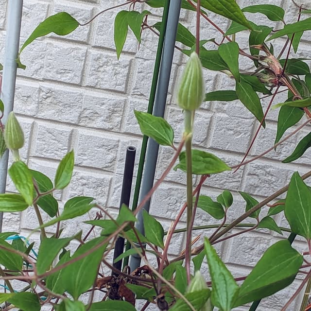 Bienvenueさんの部屋