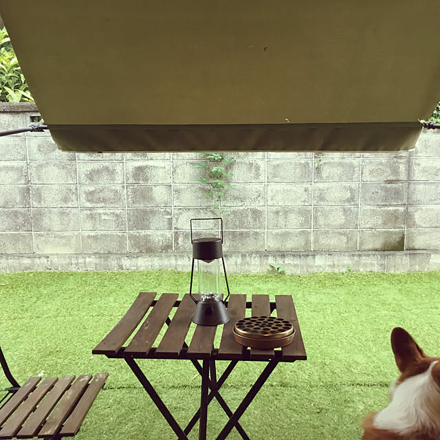 animallandさんの実例写真