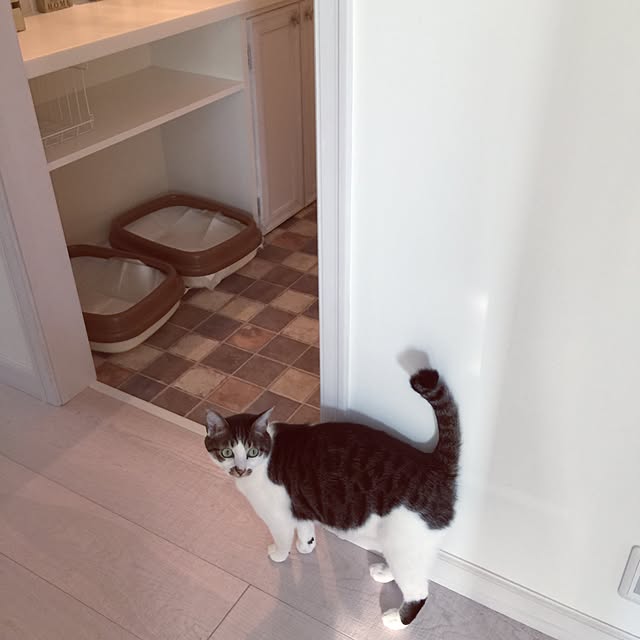 yuchiさんの実例写真