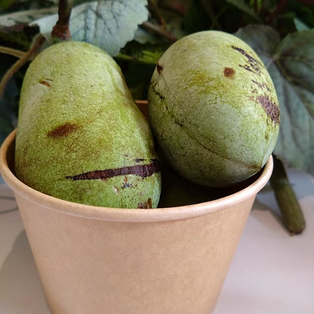 maki0828さんの実例写真