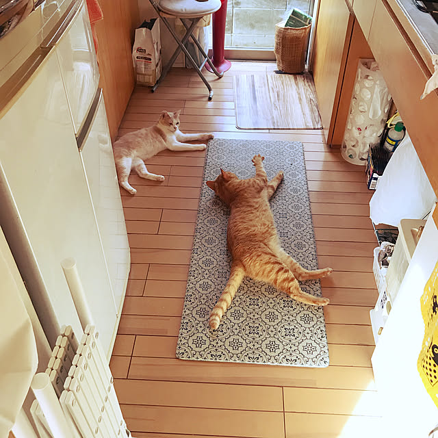kou-kitiさんの実例写真
