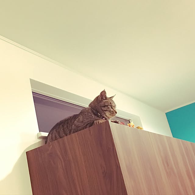 KANさんの実例写真