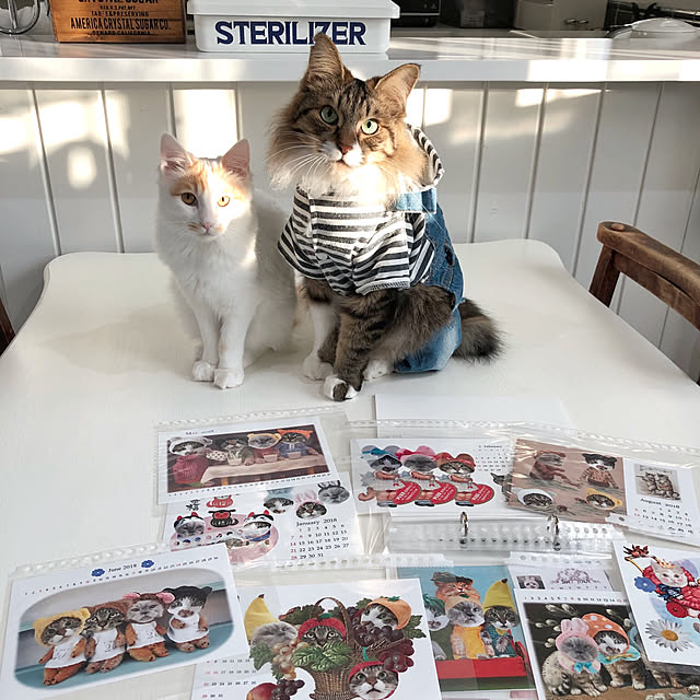 yuchiさんの実例写真