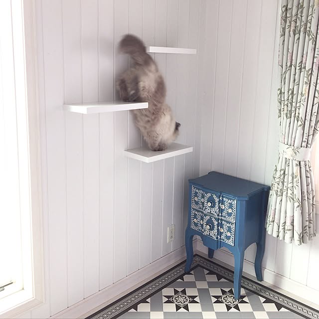 yuchiさんの実例写真