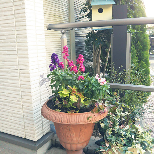 aikkoさんの実例写真