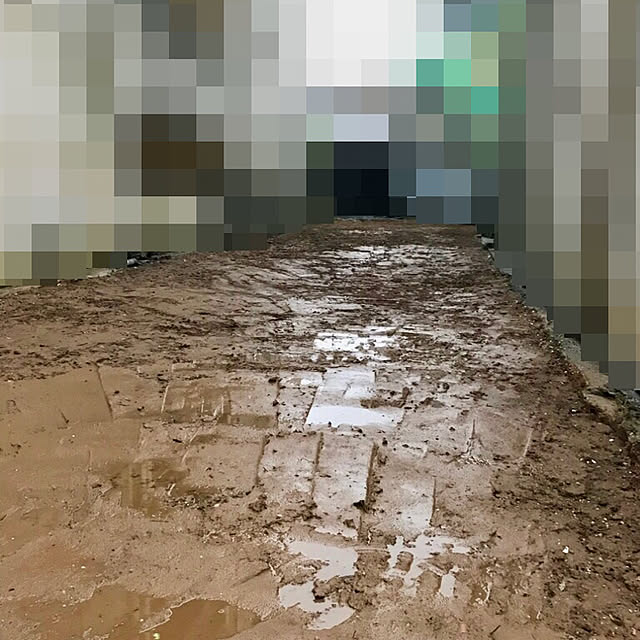 実例写真