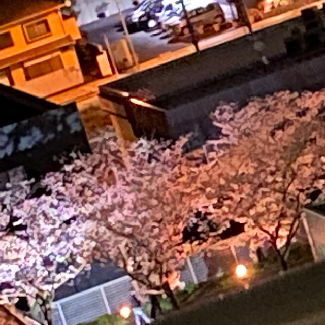 ohanaさんの部屋