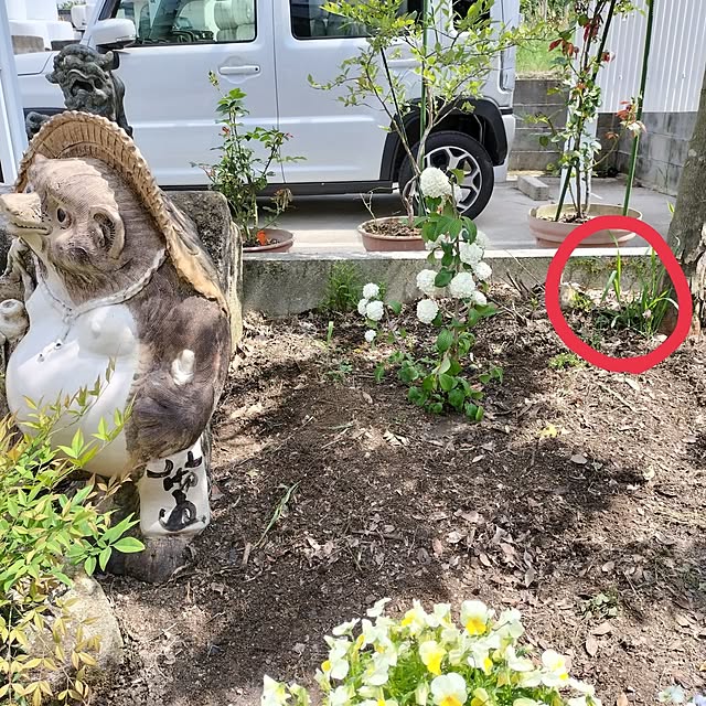 sumimarumiさんの実例写真