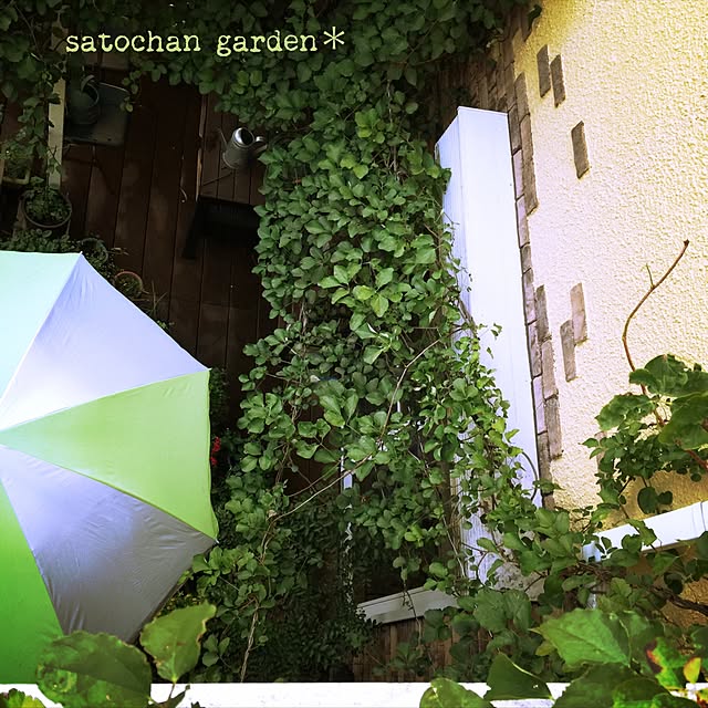 satochanさんの実例写真