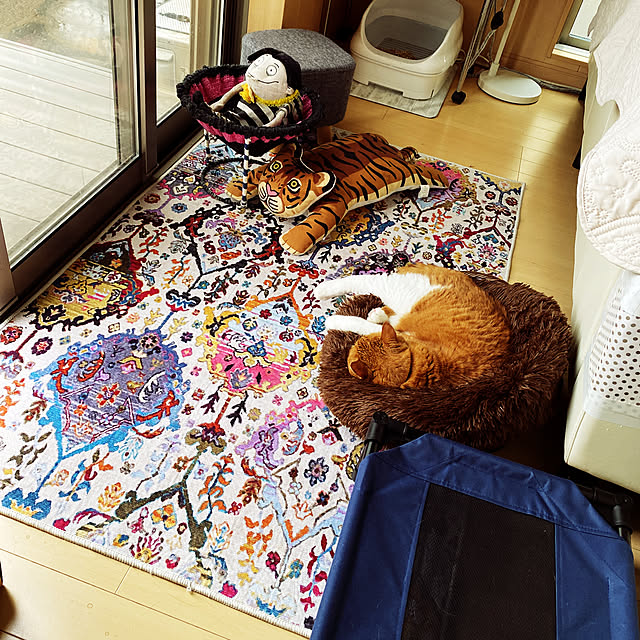 mako1210さんの実例写真
