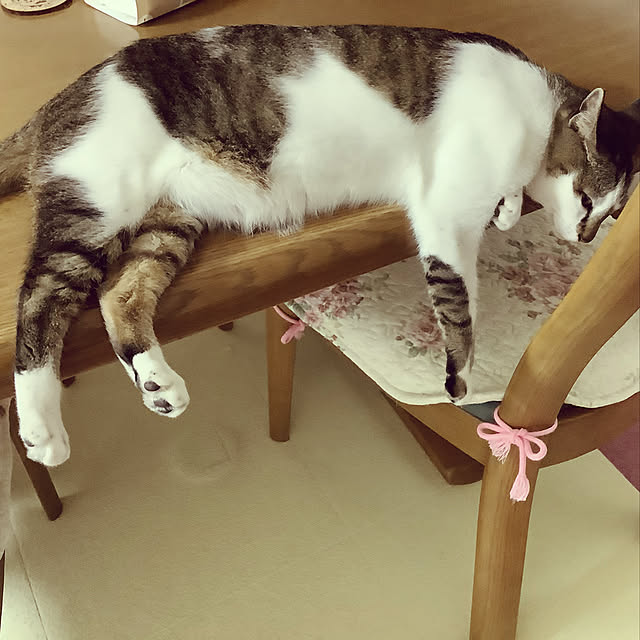 haruminさんの実例写真