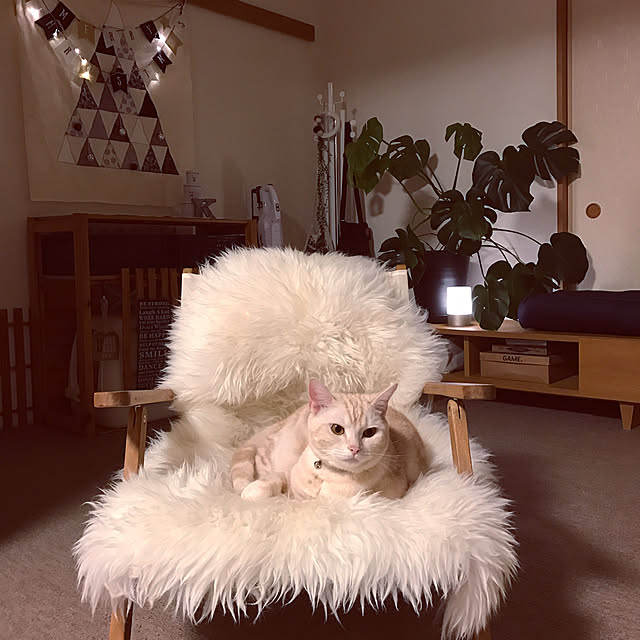 hiyupan88さんの実例写真