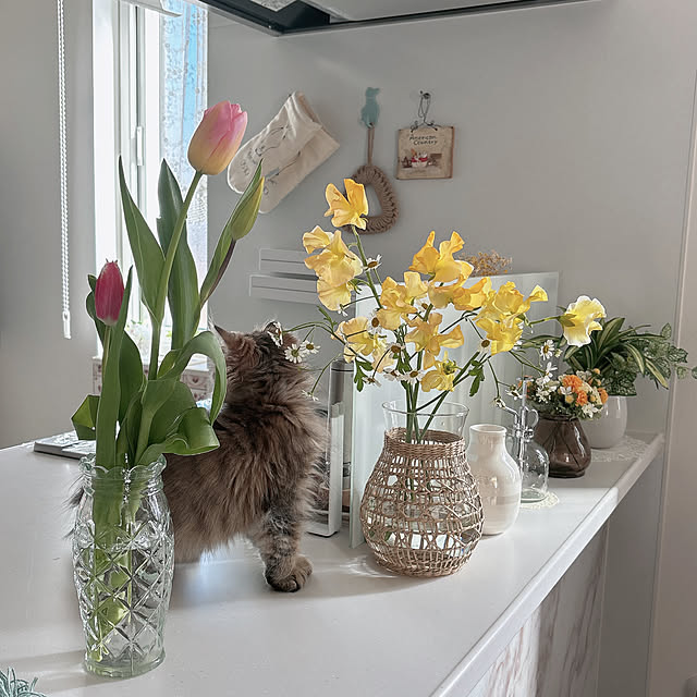 miyu39さんの部屋