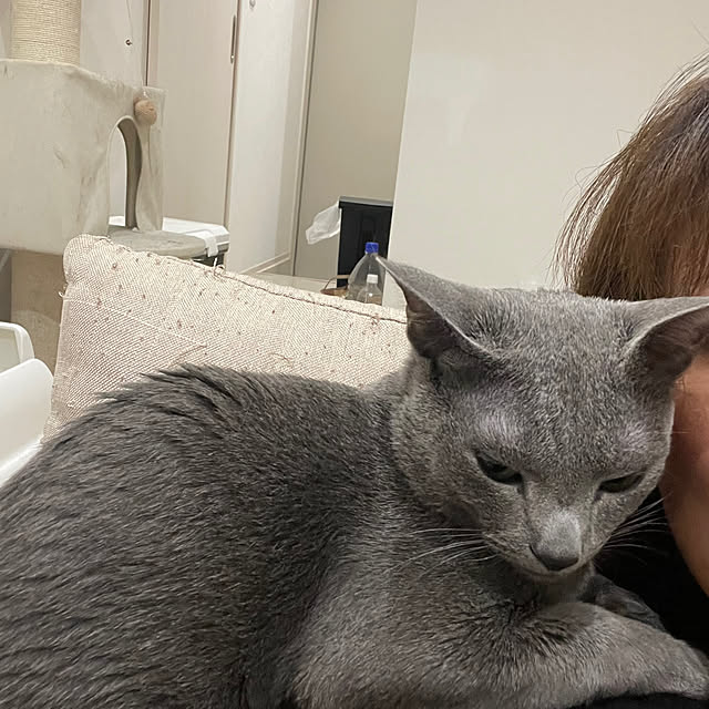 Mikaさんの実例写真